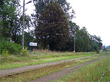 min 393 1.jpg min 393 1.jpg